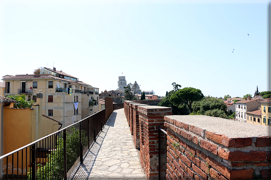 foto Camminamento delle mura di Pisa